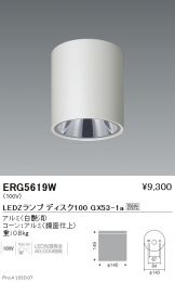 ERG5619W