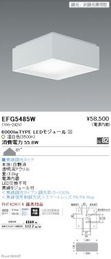 EFG5485W
