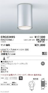 ERG5349S-RAD728M