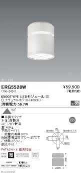 ERG5528W