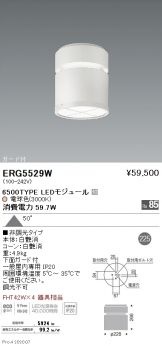 ERG5529W
