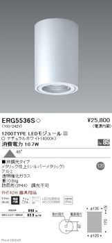 ERG5536S