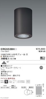 ERG5538H