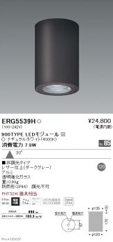 ERG5539H