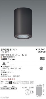 ERG5541H