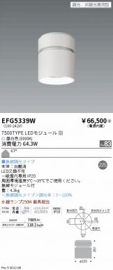 EFG5339W