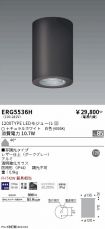 ERG5536H