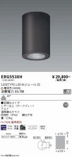 ERG5538H
