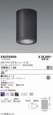 ERG5540H