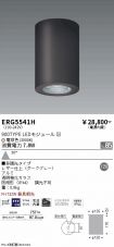 ERG5541H