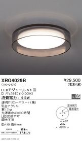 XRG4029B