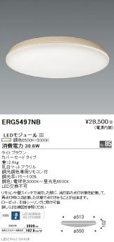 ERG5497NB