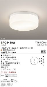 ERG5489W