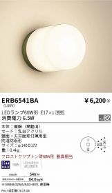 ERB6541BA