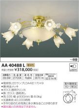AA40488L