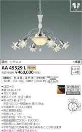 AA45529L