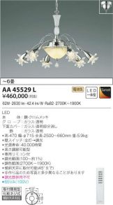 AA45529L