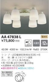 AA47838L