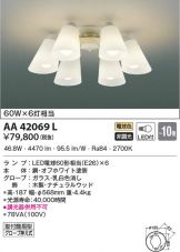 AA42069L