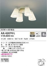 AA42070L