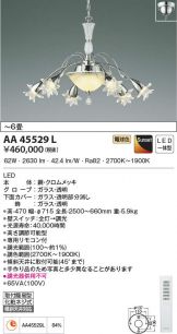 AA45529L