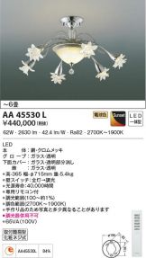 AA45530L