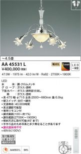 AA45531L