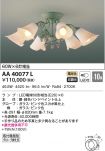 AA40077L