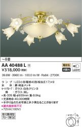 AA40488L