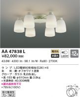 AA47838L