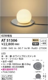 AT51306