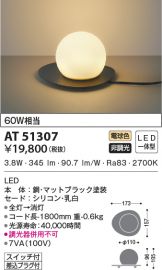 AT51307