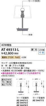 AT49313L