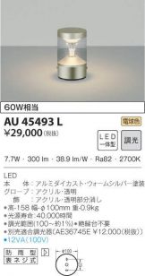 AU45493L