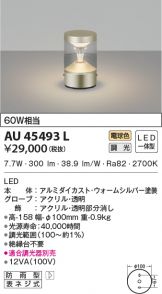 AU45493L