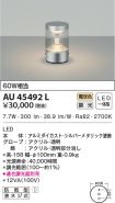 AU45492L