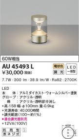 AU45493L