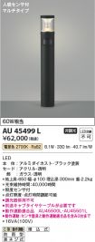AU45499L