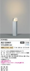 AU53901
