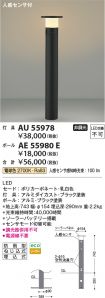 AU55978
