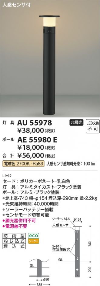AU55978