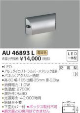 AU46893L