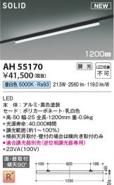 AH55170