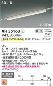 AH55163