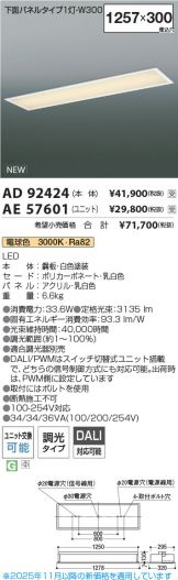 AD92424-AE57601