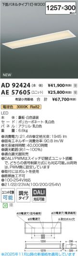 AD92424-AE57605