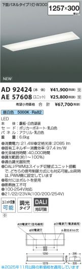 AD92424-AE57608