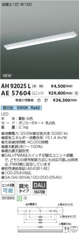 AH92025L-AE57604