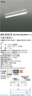 XH55313