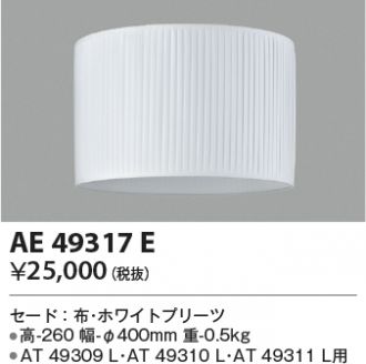 AE49317E